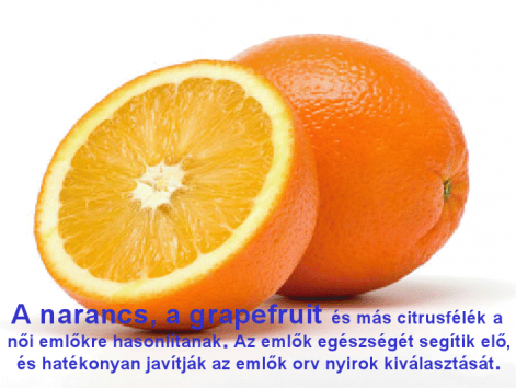 narancs.png